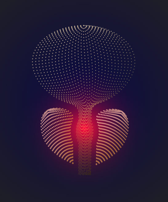 Prostasella - Wissenschaft
