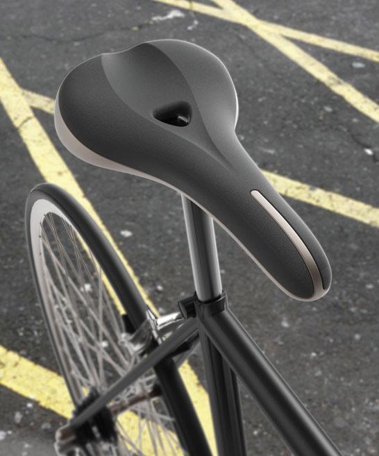 Prostasella - Größe 1